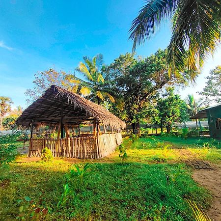 Wilpattu Green Cabin Achchamulai المظهر الخارجي الصورة