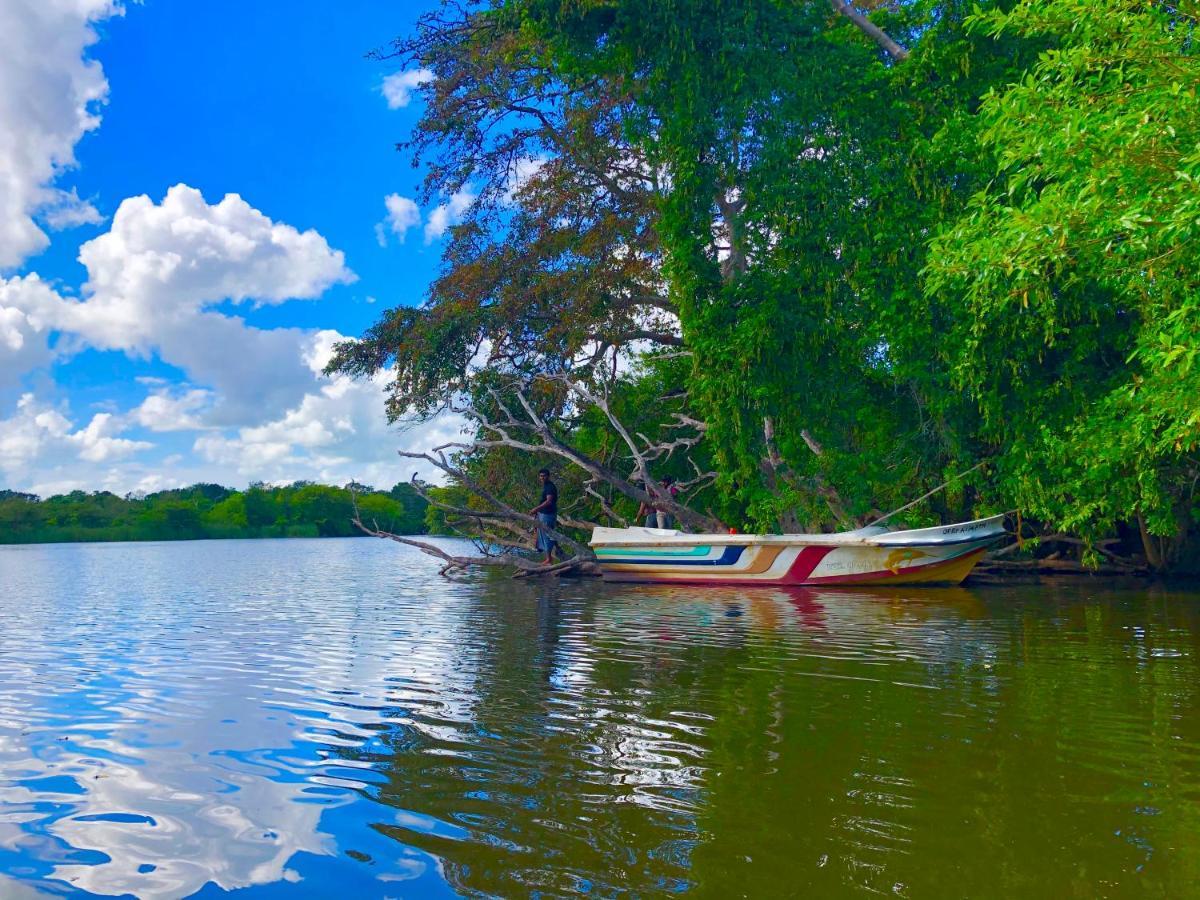 Wilpattu Green Cabin Achchamulai المظهر الخارجي الصورة