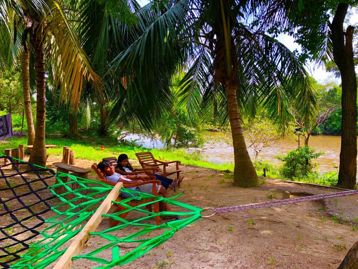 Wilpattu Green Cabin Achchamulai المظهر الخارجي الصورة
