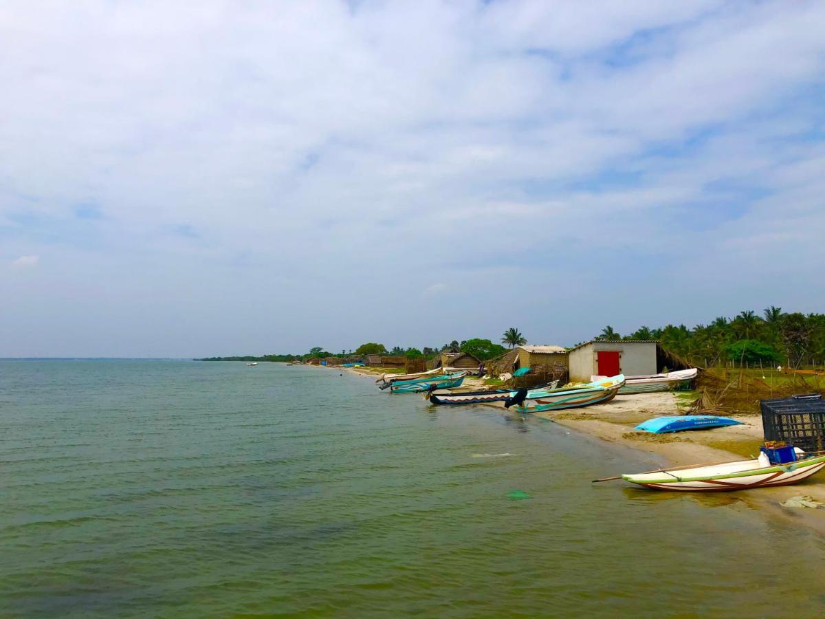 Wilpattu Green Cabin Achchamulai المظهر الخارجي الصورة