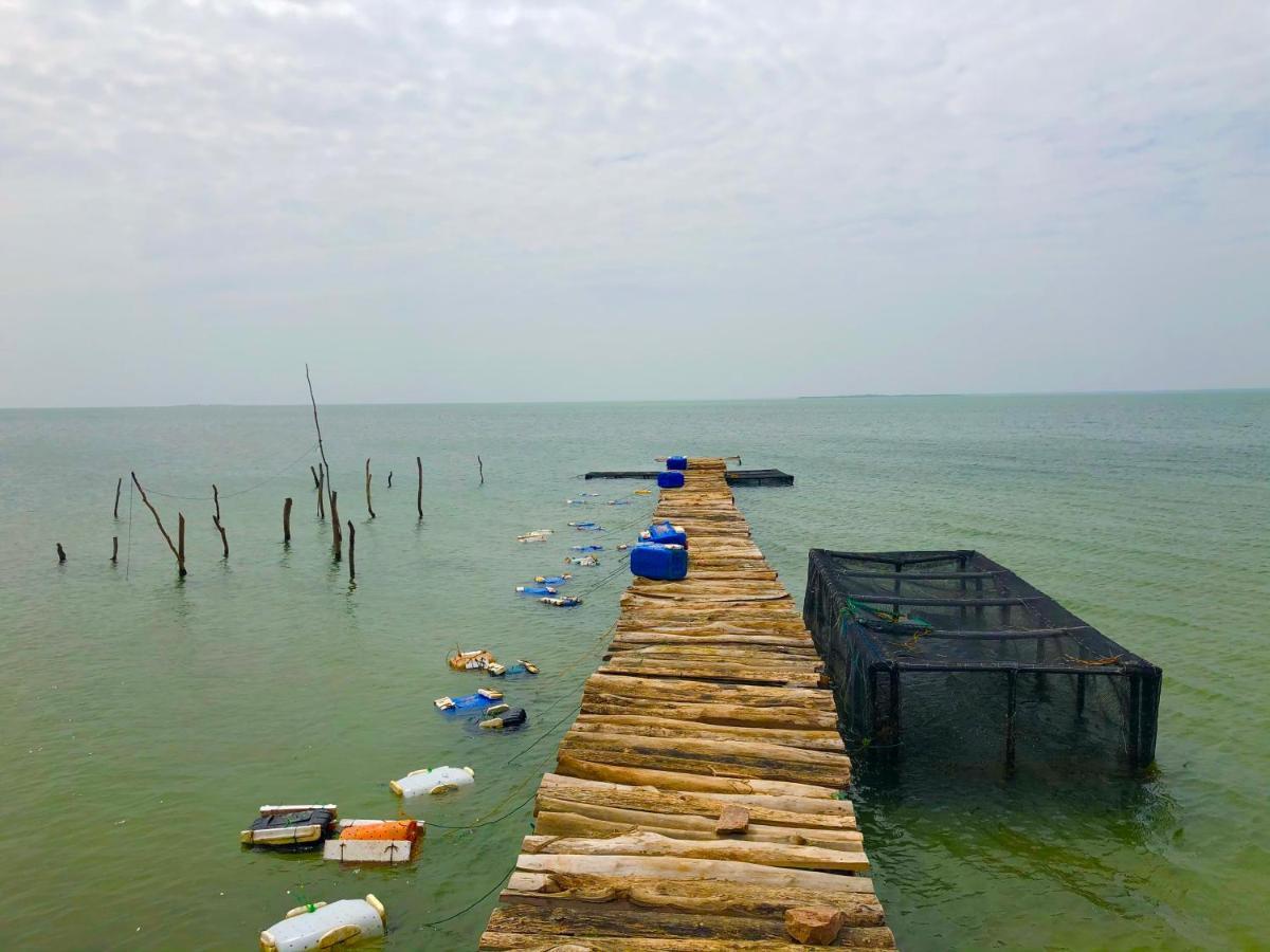 Wilpattu Green Cabin Achchamulai المظهر الخارجي الصورة