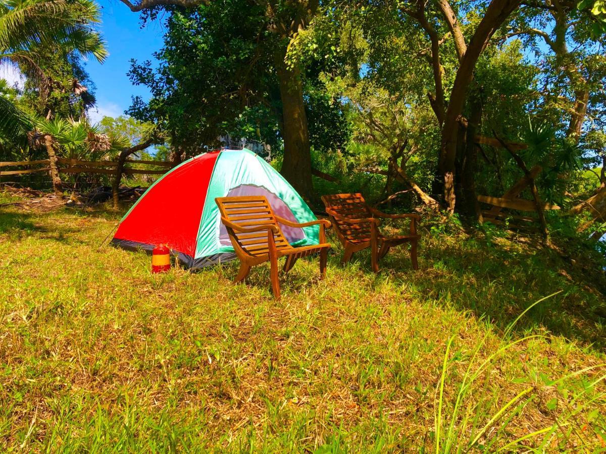Wilpattu Green Cabin Achchamulai المظهر الخارجي الصورة