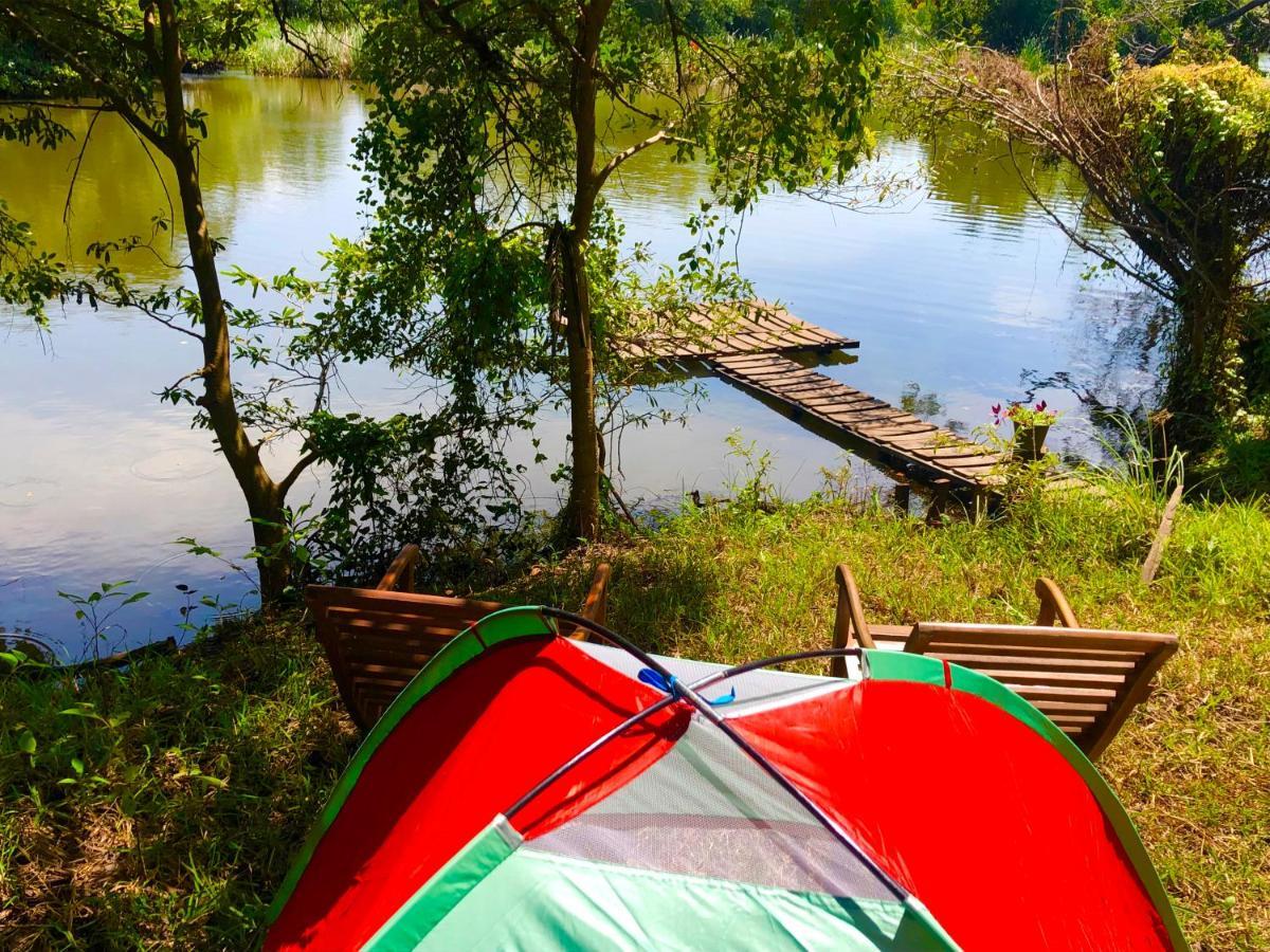 Wilpattu Green Cabin Achchamulai المظهر الخارجي الصورة