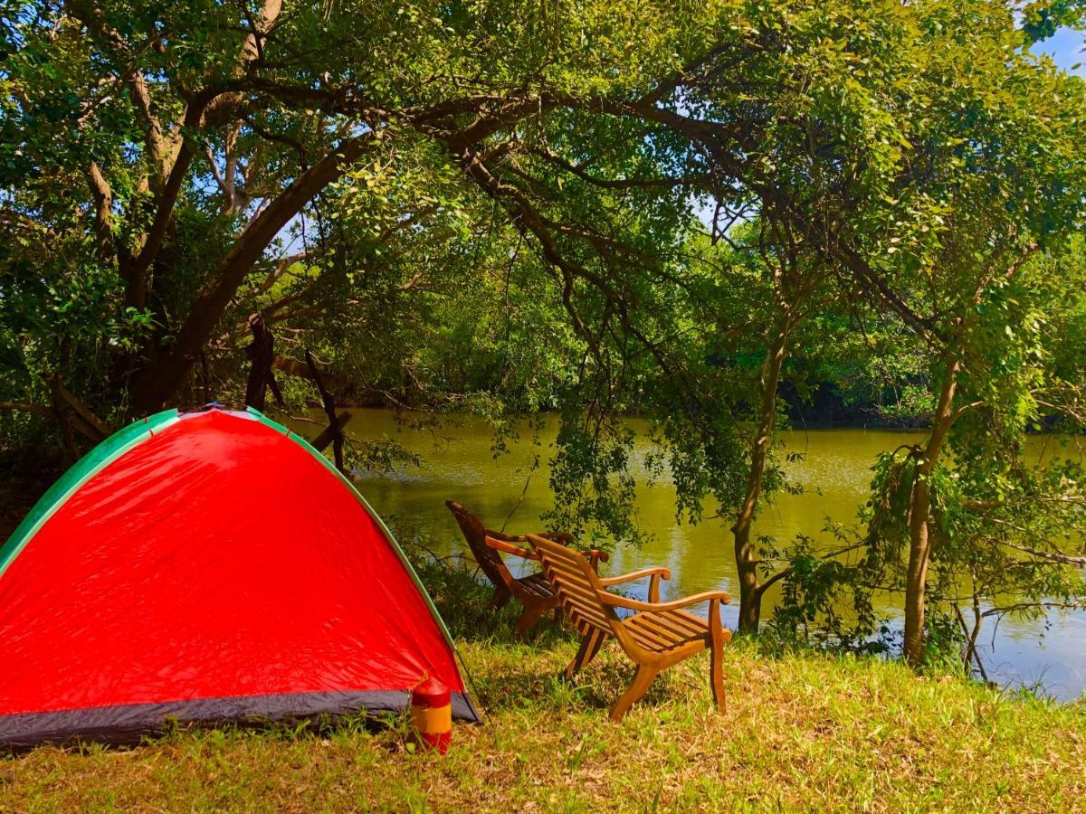 Wilpattu Green Cabin Achchamulai المظهر الخارجي الصورة
