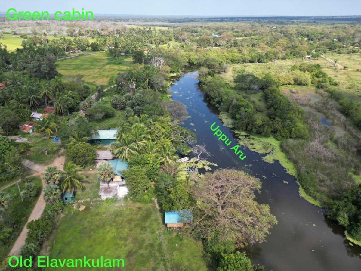 Wilpattu Green Cabin Achchamulai المظهر الخارجي الصورة