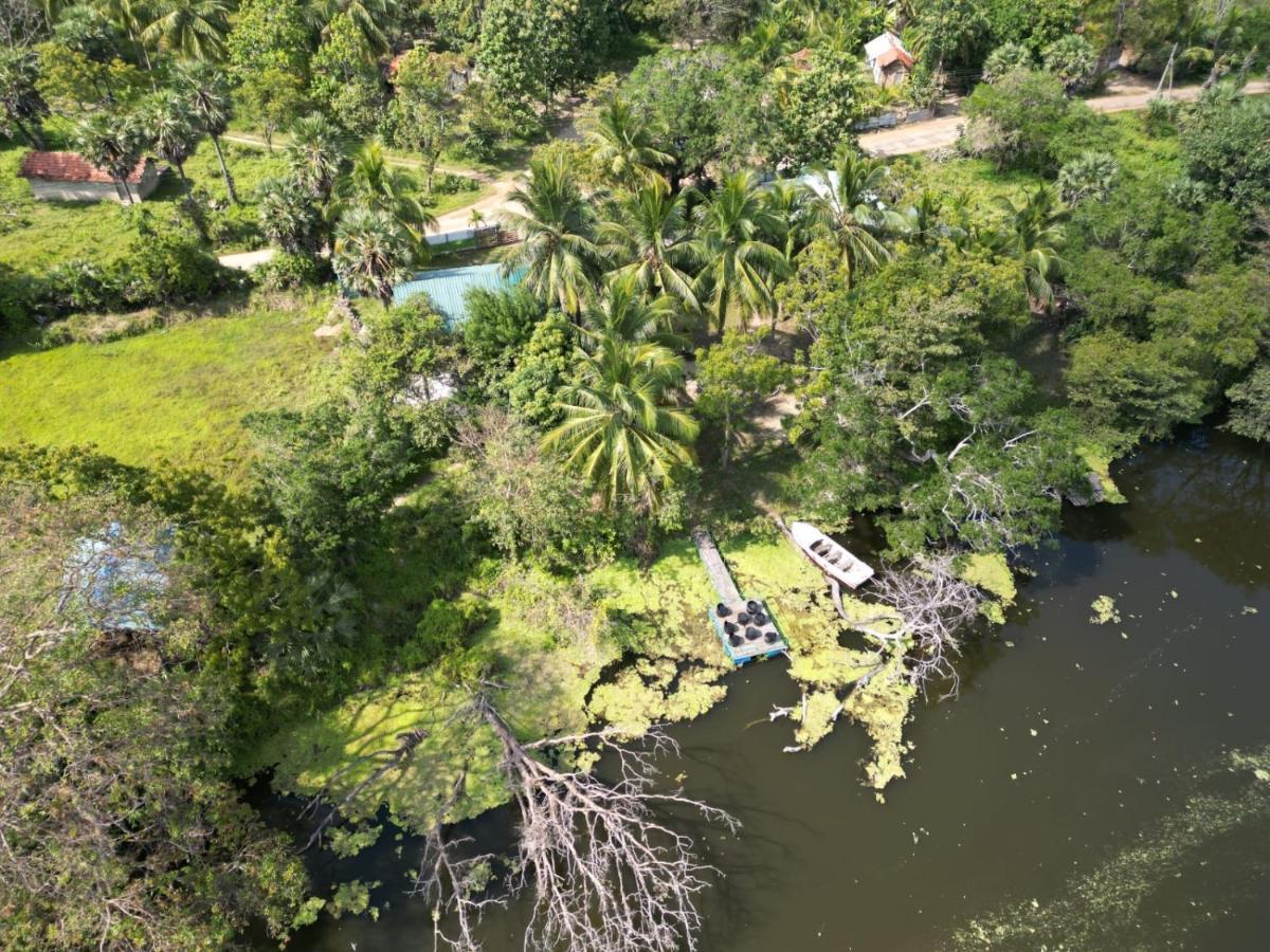 Wilpattu Green Cabin Achchamulai المظهر الخارجي الصورة