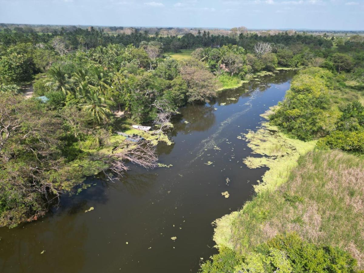 Wilpattu Green Cabin Achchamulai المظهر الخارجي الصورة