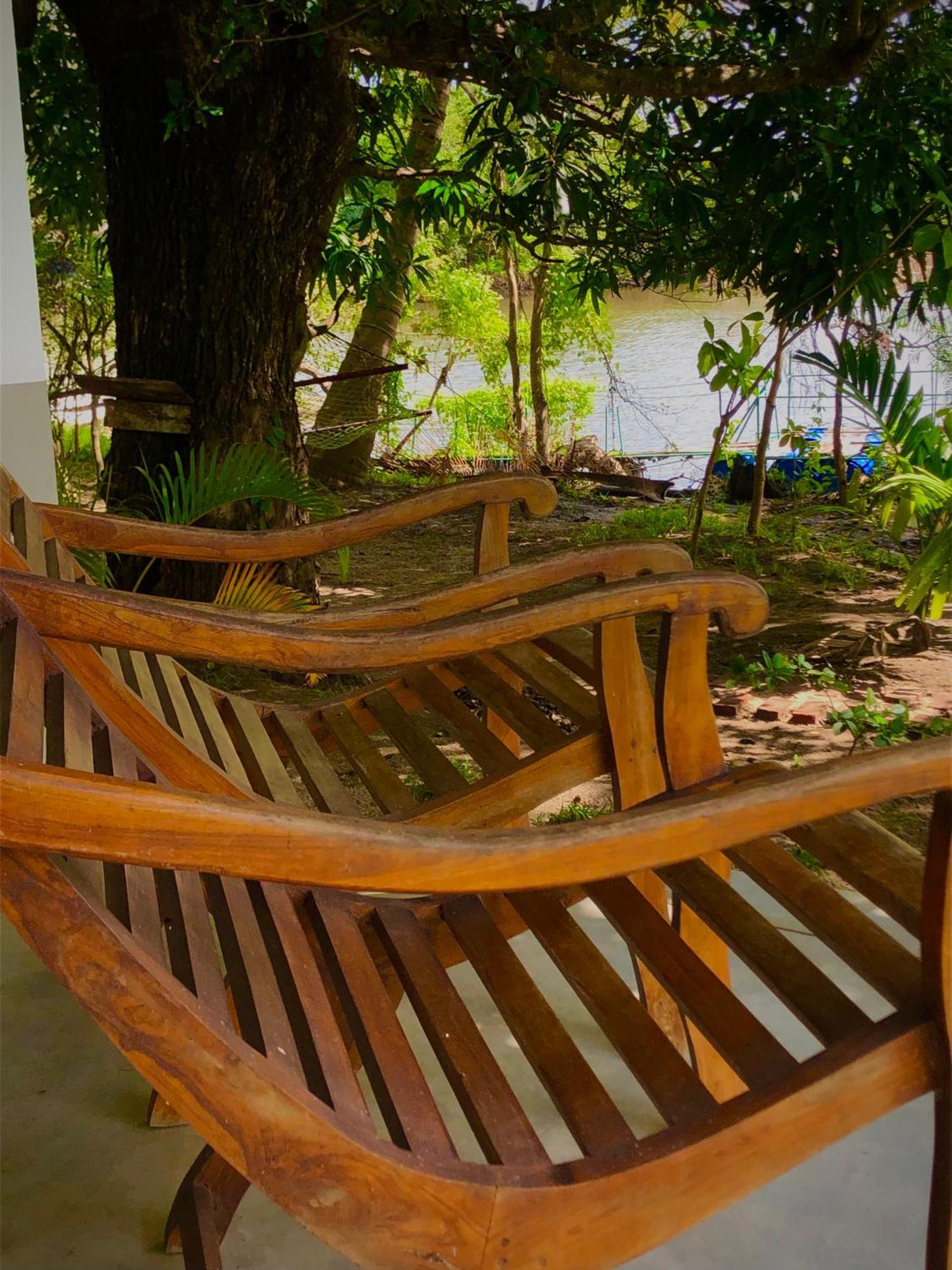Wilpattu Green Cabin Achchamulai المظهر الخارجي الصورة