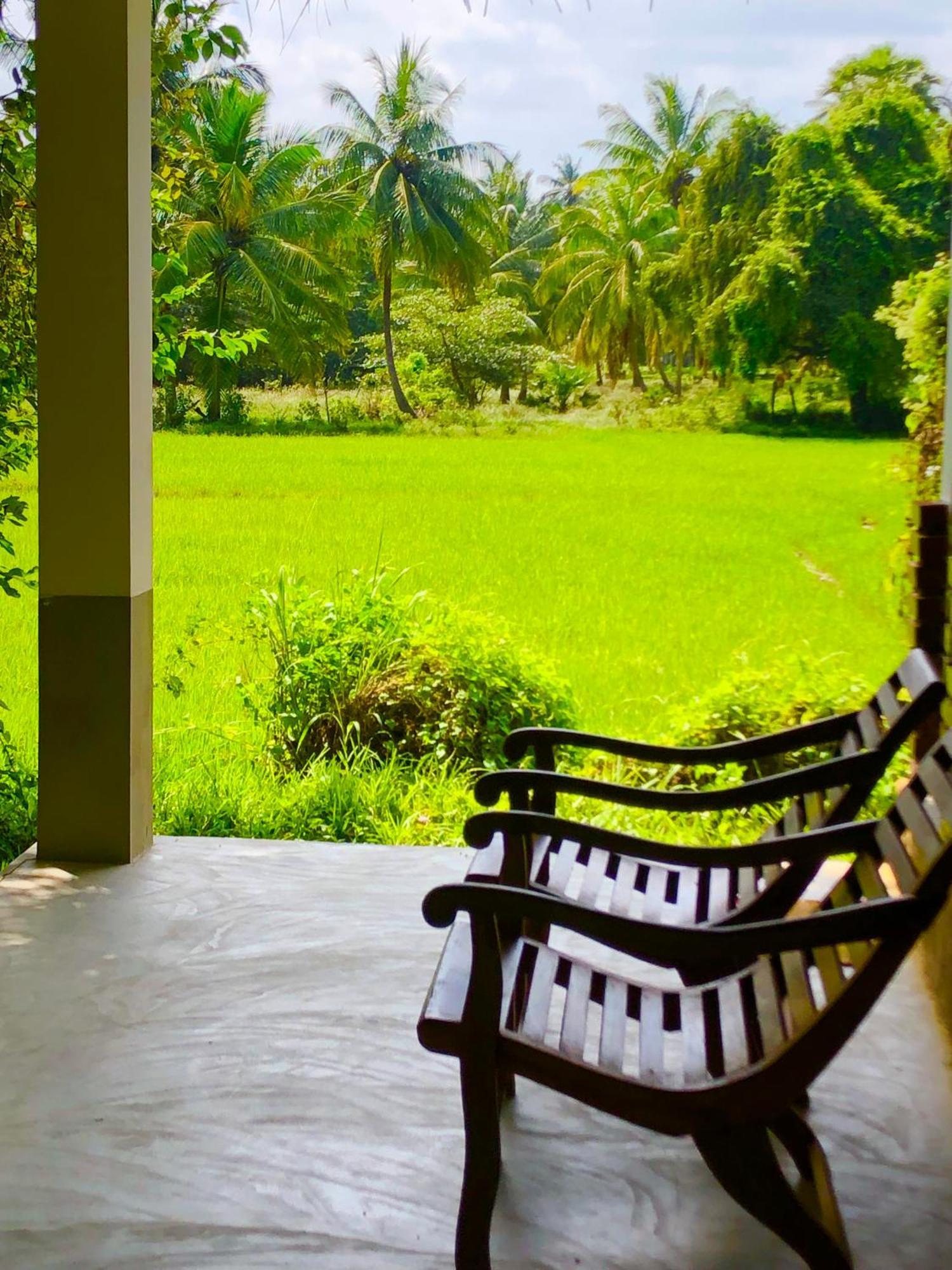 Wilpattu Green Cabin Achchamulai المظهر الخارجي الصورة